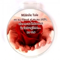 Oglinda simpla poseta, Mainile Tale m-au facut...